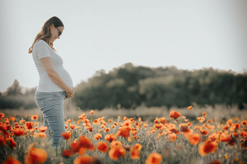 Maternity Video, Istra